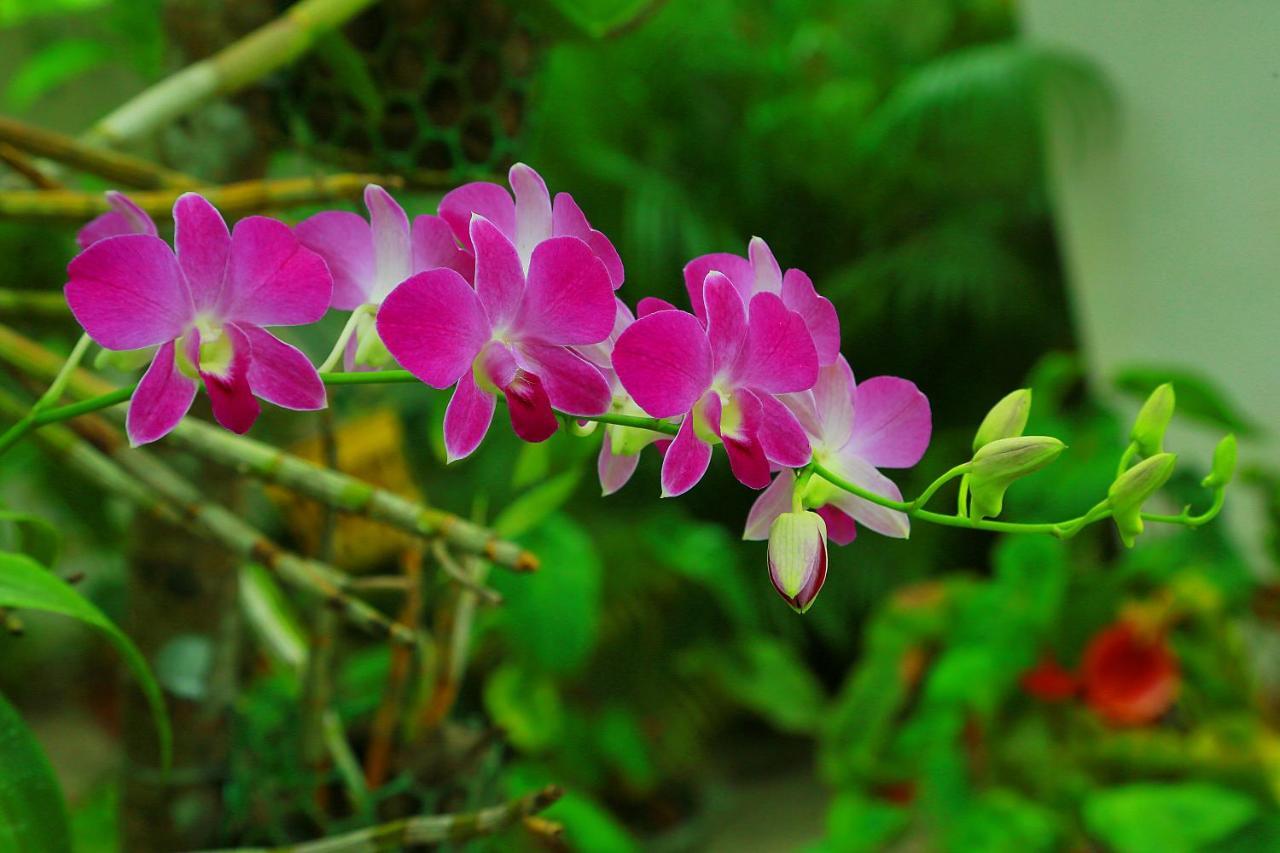 Marari Nest Beach Homestay มาราริคุลาม ภายนอก รูปภาพ